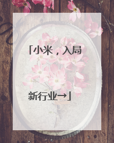 小米，入局新行业→