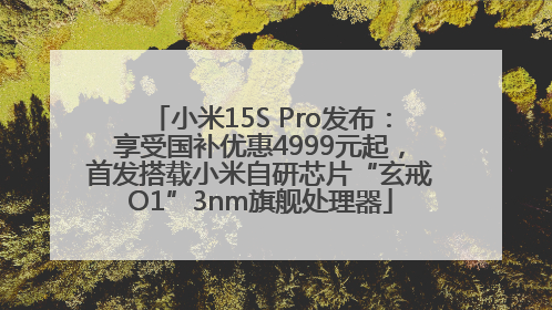 小米15S Pro发布：享受国补优惠4999元起，首发搭载小米自研芯片“玄戒O1”3nm旗舰处理器