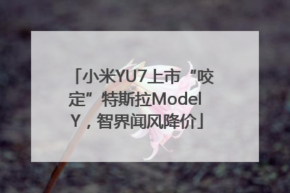 小米YU7上市“咬定”特斯拉Model Y，智界闻风降价
