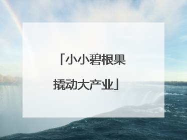 小小碧根果撬动大产业