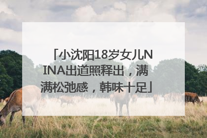 小沈阳18岁女儿NINA出道照释出，满满松弛感，韩味十足