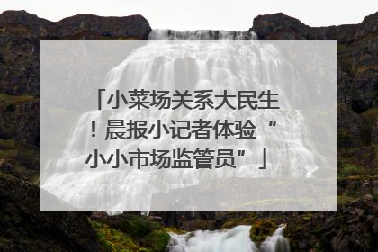 小菜场关系大民生！晨报小记者体验“小小市场监管员”