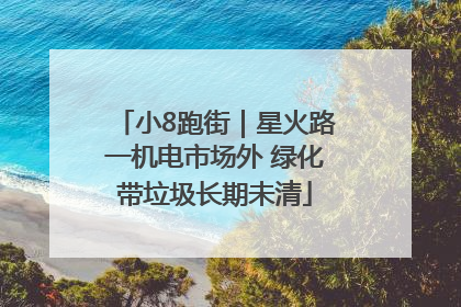 小8跑街｜星火路一机电市场外 绿化带垃圾长期未清