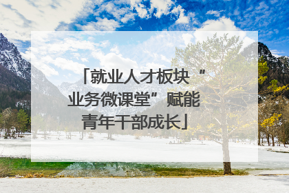 就业人才板块“业务微课堂”赋能青年干部成长