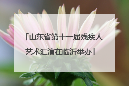 山东省第十一届残疾人艺术汇演在临沂举办