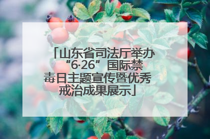 山东省司法厅举办“6·26”国际禁毒日主题宣传暨优秀戒治成果展示