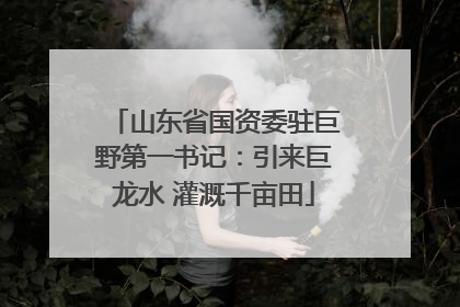 山东省国资委驻巨野第一书记：引来巨龙水 灌溉千亩田