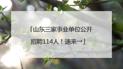 山东三家事业单位公开招聘114人！速来→