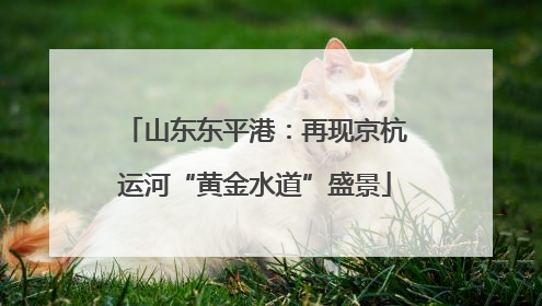 山东东平港：再现京杭运河“黄金水道”盛景