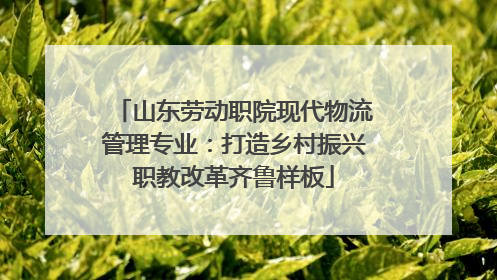 山东劳动职院现代物流管理专业：打造乡村振兴职教改革齐鲁样板