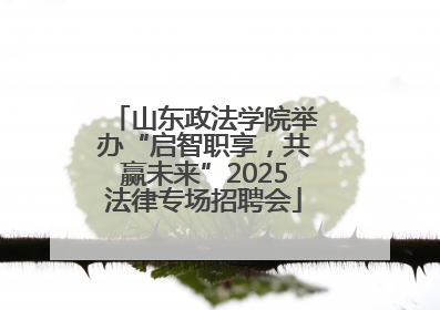 山东政法学院举办“启智职享，共赢未来”2025法律专场招聘会
