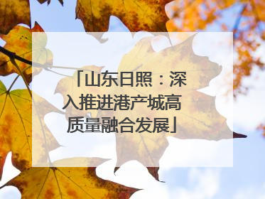 山东日照：深入推进港产城高质量融合发展