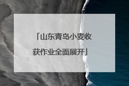山东青岛小麦收获作业全面展开
