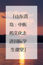 山东青岛：中医药文化走进国际学生课堂
