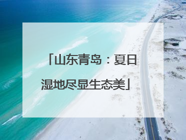 山东青岛：夏日湿地尽显生态美
