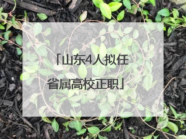 山东4人拟任省属高校正职