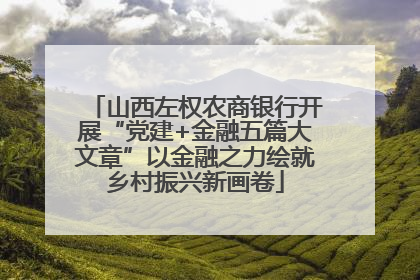 山西左权农商银行开展“党建+金融五篇大文章”以金融之力绘就乡村振兴新画卷