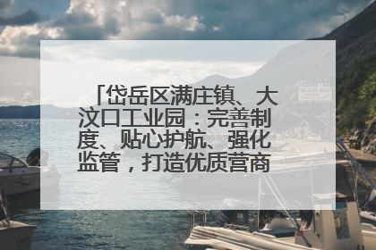 岱岳区满庄镇、大汶口工业园：完善制度、贴心护航、强化监管，打造优质营商“强磁场”