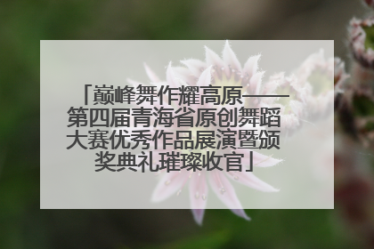 巅峰舞作耀高原——第四届青海省原创舞蹈大赛优秀作品展演暨颁奖典礼璀璨收官