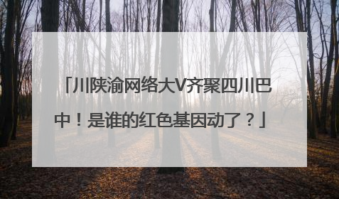 川陕渝网络大V齐聚四川巴中！是谁的红色基因动了？