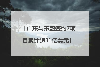 广东与东盟签约7项目累计超31亿美元