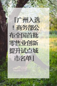 广州入选！商务部公布全国首批零售业创新提升试点城市名单