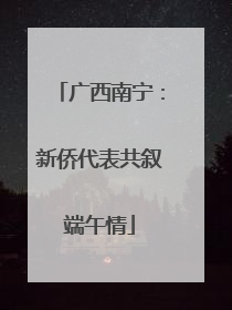 广西南宁：新侨代表共叙端午情