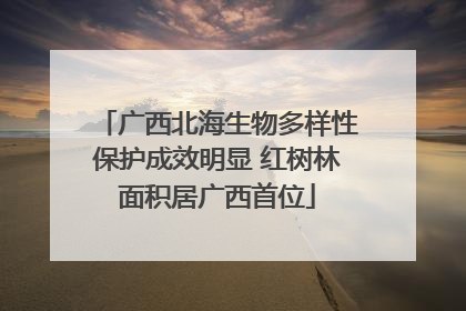 广西北海生物多样性保护成效明显 红树林面积居广西首位