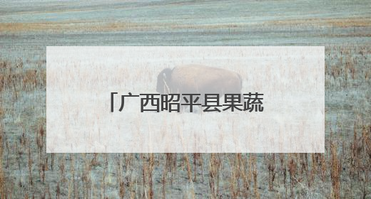 广西昭平县果蔬产销两旺 为乡村振兴注入动力