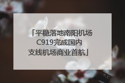 平稳落地南阳机场 C919完成国内支线机场商业首航