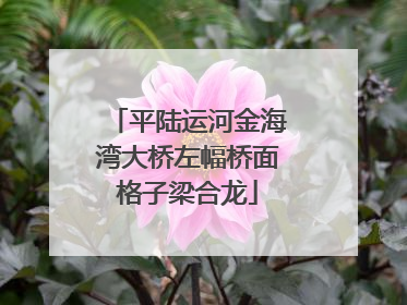 平陆运河金海湾大桥左幅桥面格子梁合龙
