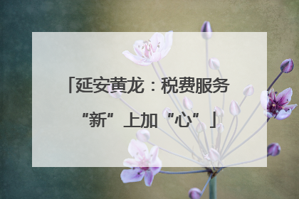 延安黄龙：税费服务“新”上加“心”