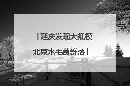 延庆发现大规模北京水毛茛群落