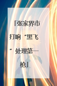 张家界市打响“黑飞”处理第一枪
