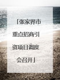 张家界市重点招商引资项目调度会召开