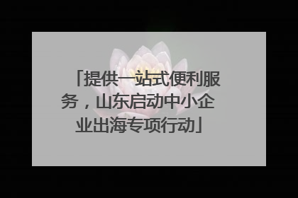 提供一站式便利服务，山东启动中小企业出海专项行动