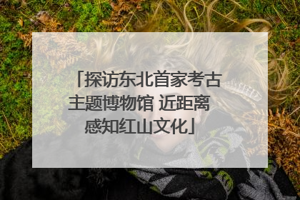 探访东北首家考古主题博物馆 近距离感知红山文化