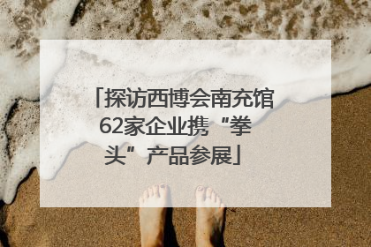 探访西博会南充馆 62家企业携“拳头”产品参展