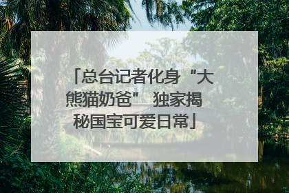 总台记者化身“大熊猫奶爸” 独家揭秘国宝可爱日常
