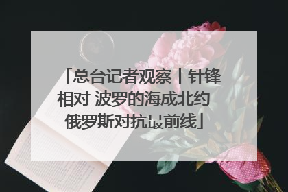 总台记者观察丨针锋相对 波罗的海成北约俄罗斯对抗最前线