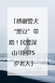 感谢警犬“黑豆”带路！民警深山寻回75岁老人