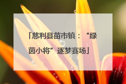 慈利县苗市镇：“绿茵小将”逐梦赛场