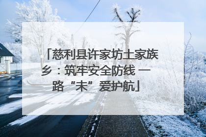 慈利县许家坊土家族乡：筑牢安全防线 一路“未”爱护航