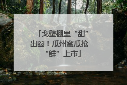 戈壁棚里“甜”出圈！瓜州蜜瓜抢“鲜”上市