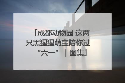 成都动物园 这两只黑猩猩萌宝陪你过“六一”｜图集