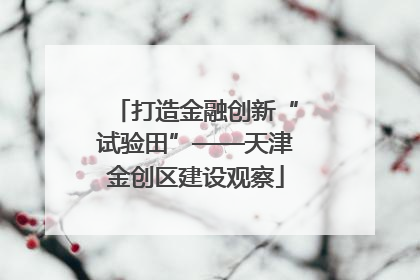 打造金融创新“试验田”——天津金创区建设观察