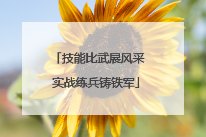 技能比武展风采 实战练兵铸铁军