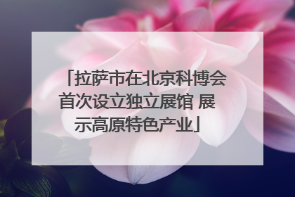拉萨市在北京科博会首次设立独立展馆 展示高原特色产业