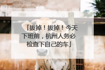 拔掉！拔掉！今天下班前，杭州人务必检查下自己的车