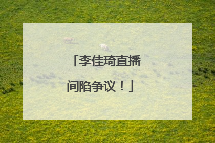 李佳琦直播间陷争议！